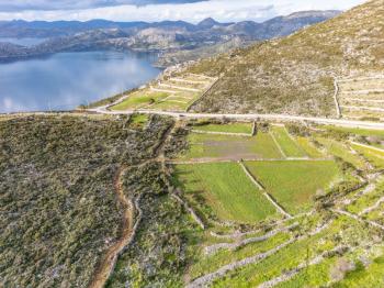 Taşlıca–Söğüt Sınırında 437 m² Müstakil Tapulu, Yola 2. Parsel Satılık Tarla