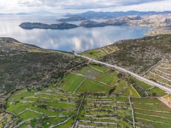 Taşlıca–Söğüt Sınırında 437 m² Müstakil Tapulu, Yola 2. Parsel Satılık Tarla