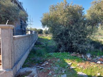 DİDİM KARDELENDE SAILIK 300M3 İMARLI ARSA