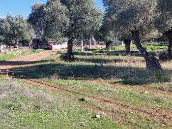 DİDİM KARDELENDE SAILIK 300M3 İMARLI ARSA