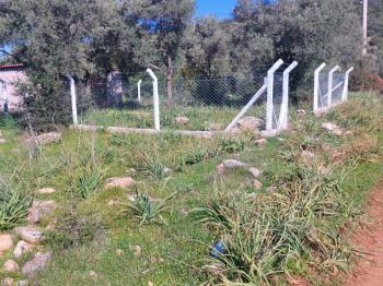 DİDİM KARDELENDE SAILIK 300M3 İMARLI ARSA