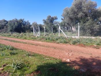 DİDİM KARDELENDE SAILIK 300M3 İMARLI ARSA