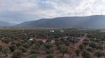 DİDİM KARDELENDE SAILIK 300M3 İMARLI ARSA