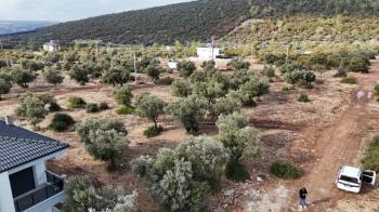 DİDİM KARDELENDE SAILIK 300M3 İMARLI ARSA