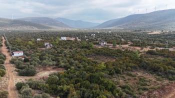 DİDİM KARDELENDE SAILIK 300M3 İMARLI ARSA