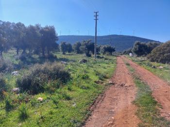 DİDİM KARDELENDE SAILIK 300M3 İMARLI ARSA