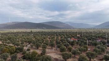 DİDİM KARDELENDE SAILIK 300M3 İMARLI ARSA