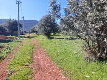 DİDİM KARDELENDE SAILIK 300M3 İMARLI ARSA