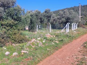 DİDİM KARDELENDE SAILIK 300M3 İMARLI ARSA