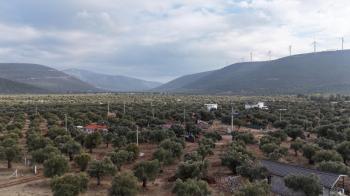 DİDİM KARDELENDE SAILIK 300M3 İMARLI ARSA