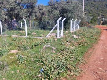 DİDİM KARDELENDE SAILIK 300M3 İMARLI ARSA