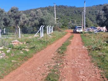 DİDİM KARDELENDE SAILIK 300M3 İMARLI ARSA