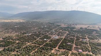 DİDİM KARDELENDE SAILIK 300M3 İMARLI ARSA