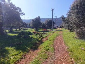 DİDİM KARDELENDE SAILIK 300M3 İMARLI ARSA