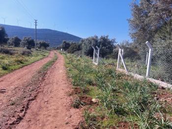 DİDİM KARDELENDE SAILIK 300M3 İMARLI ARSA