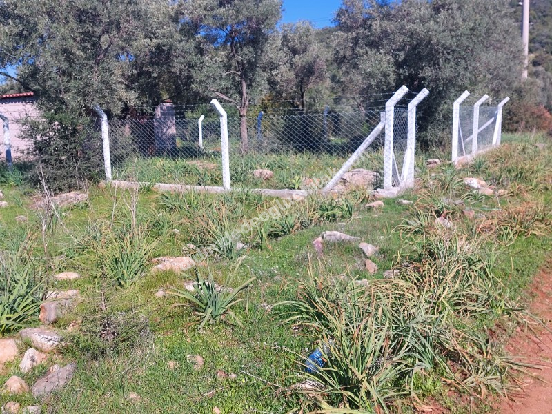 DİDİM KARDELENDE SAILIK 300M3 İMARLI ARSA