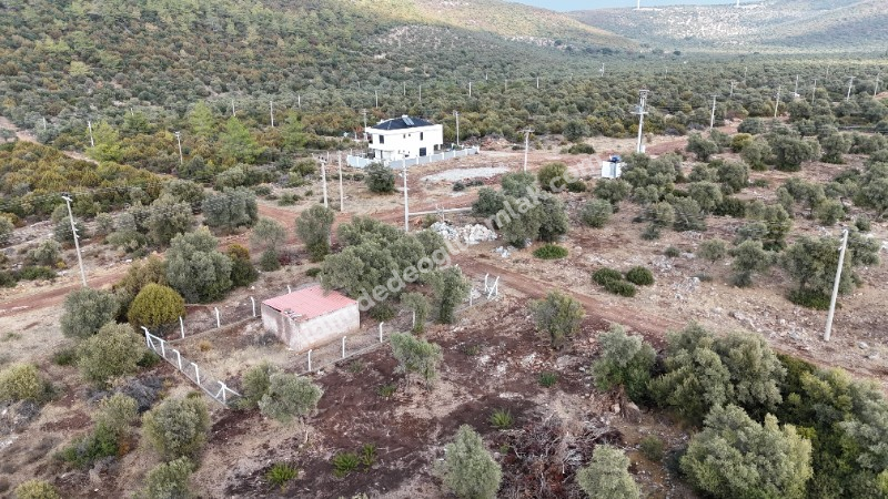 DİDİM KARDELENDE SAILIK 300M3 İMARLI ARSA