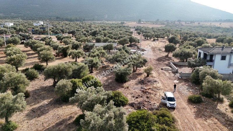 DİDİM KARDELENDE SAILIK 300M3 İMARLI ARSA