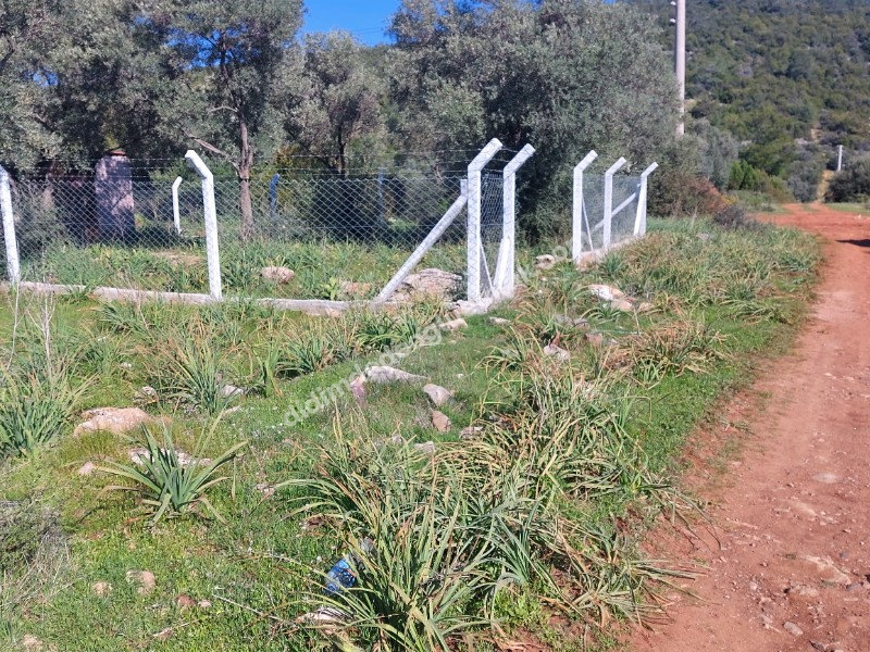 DİDİM KARDELENDE SAILIK 300M3 İMARLI ARSA