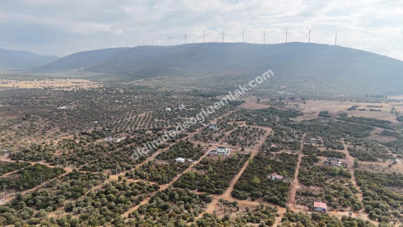 DİDİM KARDELENDE SAILIK 300M3 İMARLI ARSA