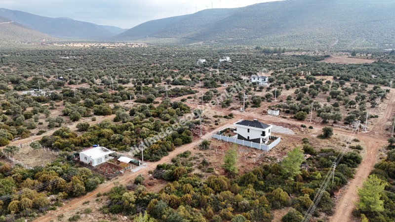 DİDİM KARDELENDE SAILIK 300M3 İMARLI ARSA