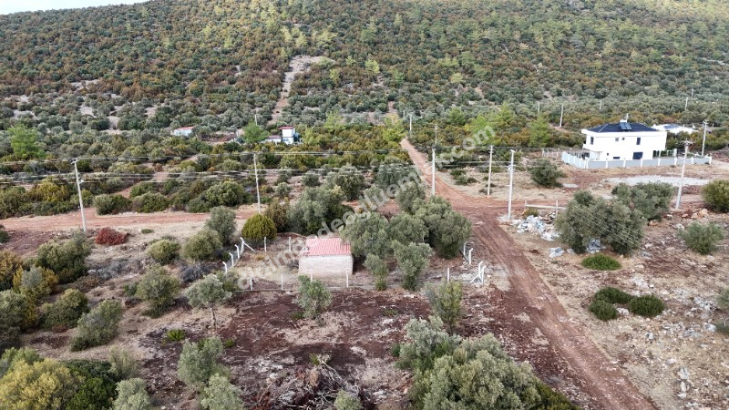 DİDİM KARDELENDE SAILIK 300M3 İMARLI ARSA