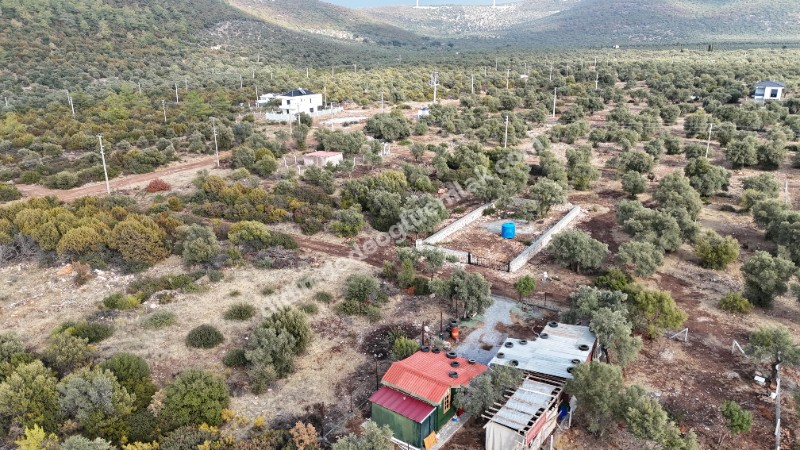 DİDİM KARDELENDE SAILIK 300M3 İMARLI ARSA