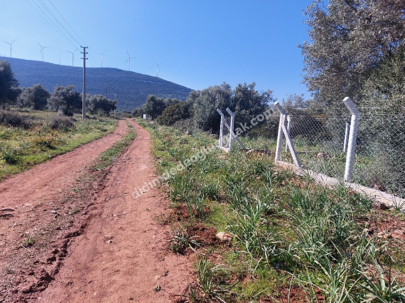 DİDİM KARDELENDE SAILIK 300M3 İMARLI ARSA