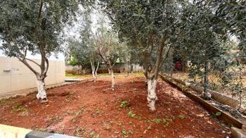 Elmas’tan Kuzeykent’te 788 M2 Üzerine Kurulu Dubleks Villa