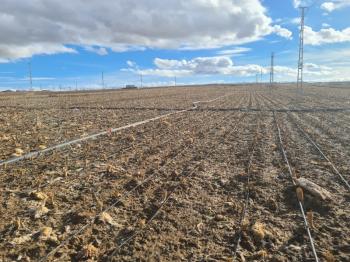 SAZLICA  AŞAĞI  MAHALLEDE 700 M2 SATILIK ARSA 