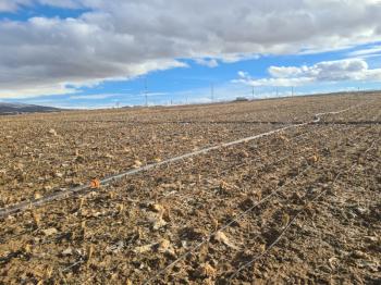 SAZLICA  AŞAĞI  MAHALLEDE 700 M2 SATILIK ARSA 