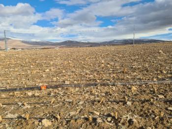 SAZLICA  AŞAĞI  MAHALLEDE 700 M2 SATILIK ARSA 