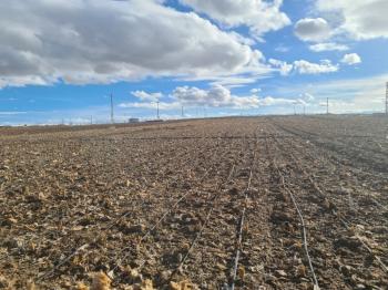 SAZLICA  AŞAĞI  MAHALLEDE 700 M2 SATILIK ARSA 