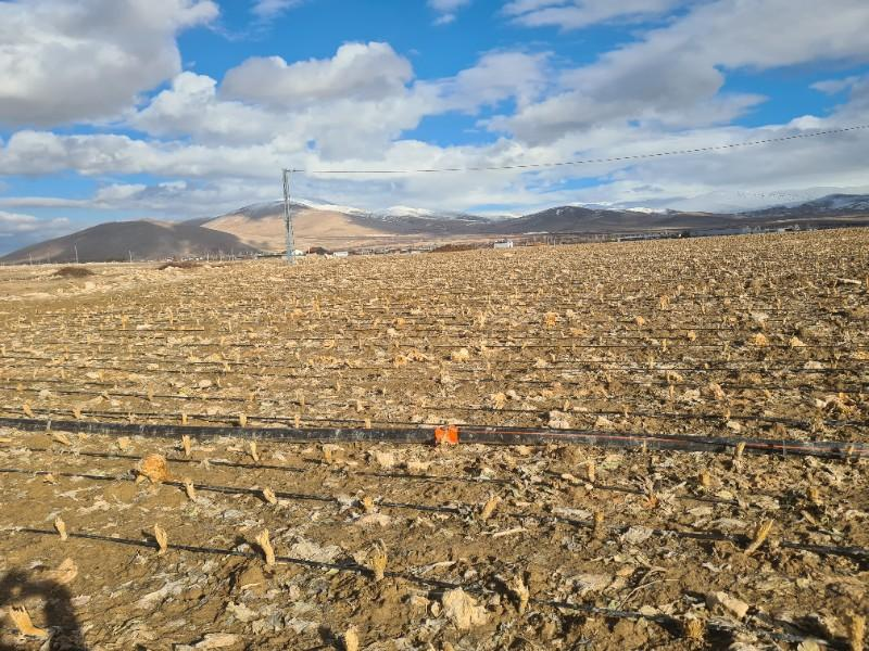 SAZLICA  AŞAĞI  MAHALLEDE 700 M2 SATILIK ARSA 