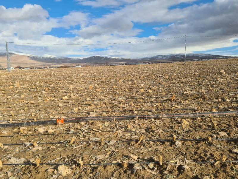 SAZLICA  AŞAĞI  MAHALLEDE 700 M2 SATILIK ARSA 