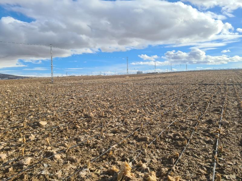 SAZLICA  AŞAĞI  MAHALLEDE 700 M2 SATILIK ARSA 