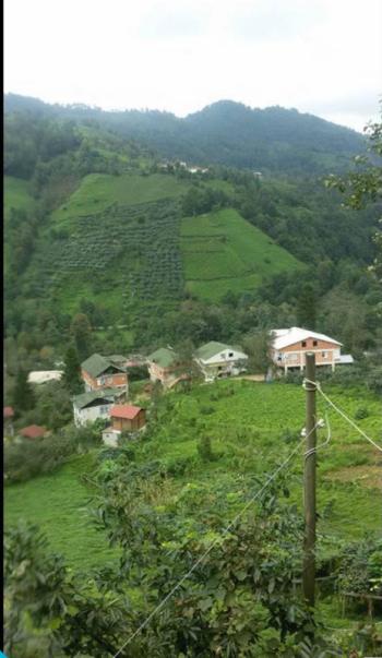 RİZE FINDIKLI MÜSTAKİL EV TAPU SAHİBİ PERTA EMLAK ÜMİT TAHMAZ