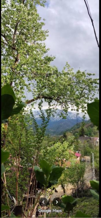 RİZE FINDIKLI MÜSTAKİL EV TAPU SAHİBİ PERTA EMLAK ÜMİT TAHMAZ