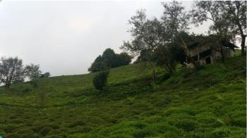 RİZE FINDIKLI MÜSTAKİL EV TAPU SAHİBİ PERTA EMLAK ÜMİT TAHMAZ