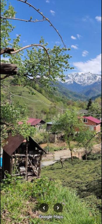 RİZE FINDIKLI MÜSTAKİL EV TAPU SAHİBİ PERTA EMLAK ÜMİT TAHMAZ