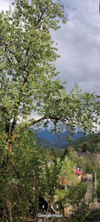 RİZE FINDIKLI MÜSTAKİL EV TAPU SAHİBİ PERTA EMLAK ÜMİT TAHMAZ