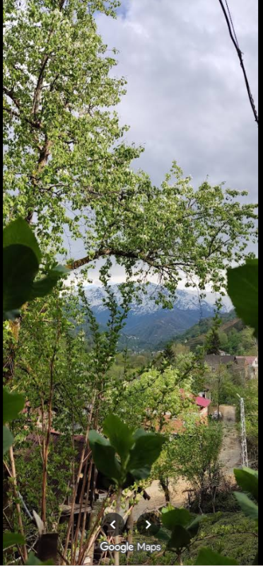 RİZE FINDIKLI MÜSTAKİL EV TAPU SAHİBİ PERTA EMLAK ÜMİT TAHMAZ