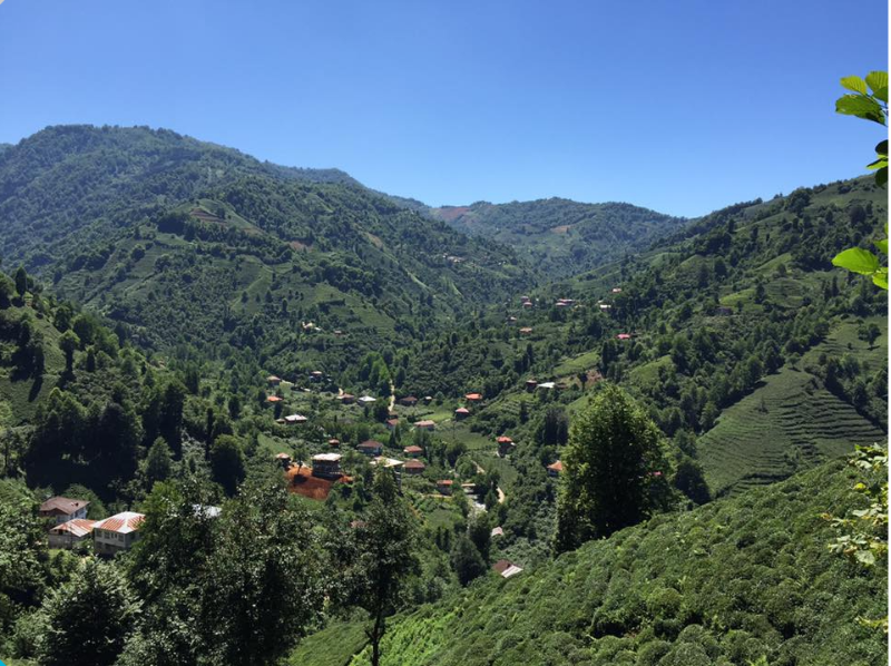 RİZE FINDIKLI MÜSTAKİL EV TAPU SAHİBİ PERTA EMLAK ÜMİT TAHMAZ