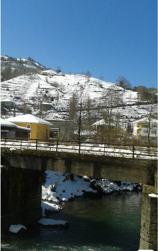 RİZE FINDIKLI MÜSTAKİL EV TAPU SAHİBİ PERTA EMLAK ÜMİT TAHMAZ