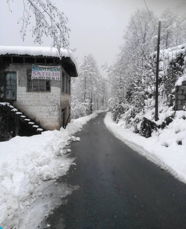RİZE FINDIKLI MÜSTAKİL EV TAPU SAHİBİ PERTA EMLAK ÜMİT TAHMAZ