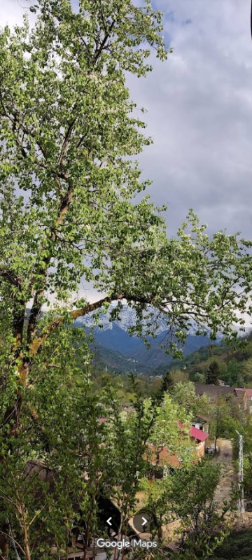 RİZE FINDIKLI MÜSTAKİL EV TAPU SAHİBİ PERTA EMLAK ÜMİT TAHMAZ