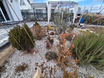 GÜVENAY - ÇORUM MERKEZ PAŞAKÖY EVİ OLAN SATILIK  HOBİ BAHÇESİ