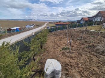 GÜVENAY - ÇORUM MERKEZ PAŞAKÖY EVİ OLAN SATILIK  HOBİ BAHÇESİ