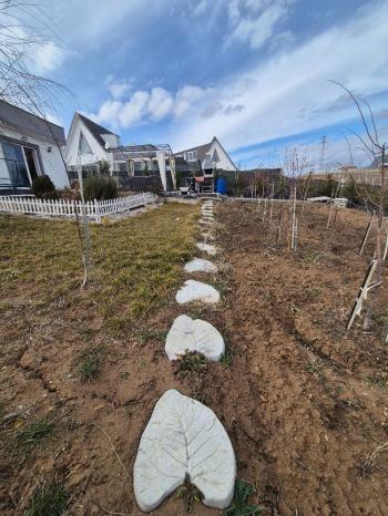 GÜVENAY - ÇORUM MERKEZ PAŞAKÖY EVİ OLAN SATILIK  HOBİ BAHÇESİ