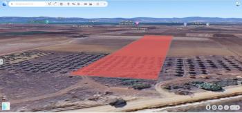 DijitalEmlak’tan Karacabey Seyranda Ana yola Yakın Satılık Yatırımlık 20 dönüm Kıymetli Arazi. 